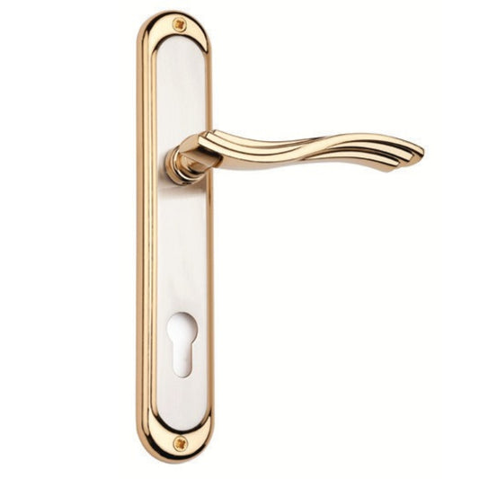 Elegant Gold-Toned Curved Door Handle on Sleek Silver Color Panel with Keyhole – Polished Finish, Stylish Design for Modern Interiors