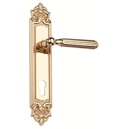  Gold Colored Door Handle with Ribbed Bar, Decorative  Frame & Keyhole – Classic Elegant Design for Timeless Interiors