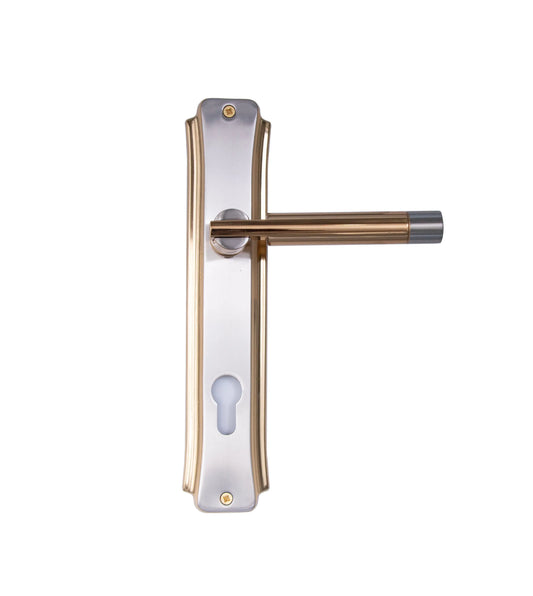 Elegant Two-Tone Door Handle –   Golden Brass Lever & Keyhole, Decorative  Door Handle