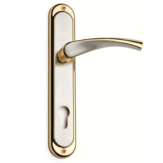 Modern Brushed Nickel Door Handle with Gold color Toned Lever, Rectangular Plate with Keyhole & Decorative  Rivets – Elegant Indoor Door Hardware