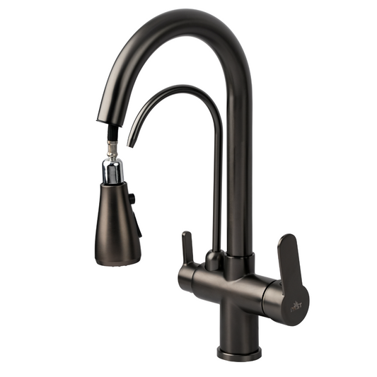 Dark Dual-Spout Kitchen Faucet with Built-In Water Filter, Swivel Spray Nozzle, and Matte Finish